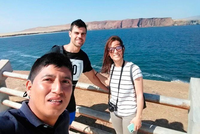 Paracas National Reserve Tour - Considerations and Tips