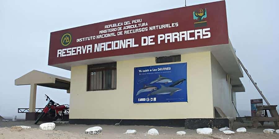 Paracas National Reserve Tour - An In-Depth Look at the Paracas National Reserve Tour