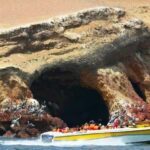 Paracas: Private Paracas National Reserve Tour - The Paracas National Reserve Tour: A Deep Dive