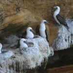 Paracas: Private Tour of the National Reserve - Who Will Enjoy This Tour?
