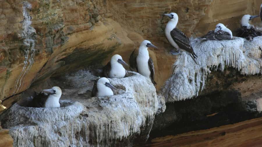 Paracas: Private Tour of the National Reserve - Who Will Enjoy This Tour?
