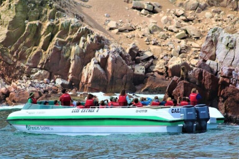 Paracas: speedboat BALLESTAS ISLANDS TOUR - Final Thoughts: Who Should Consider This Tour?