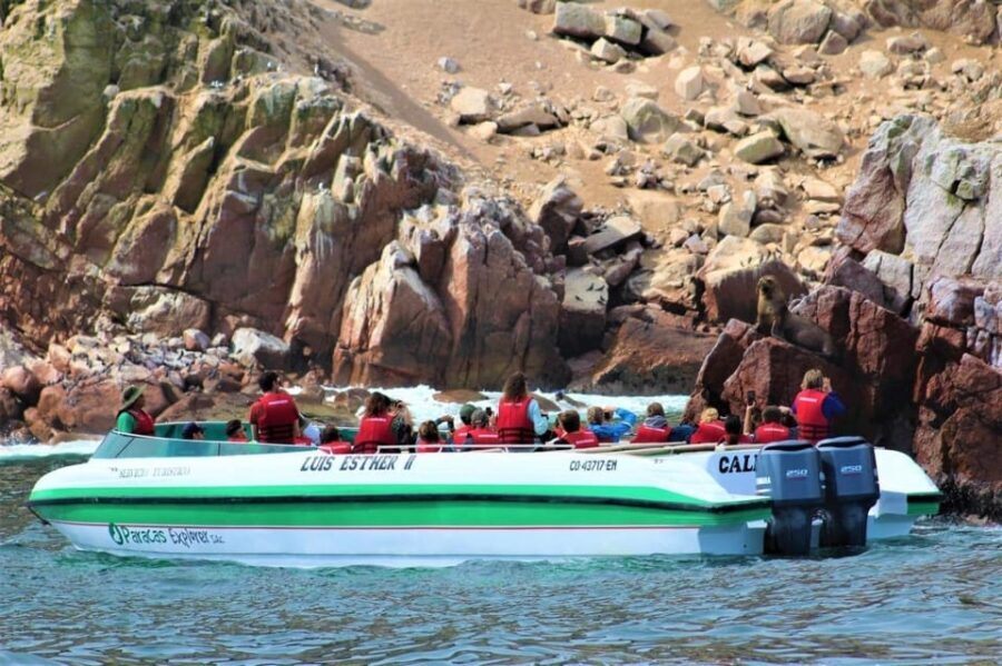Paracas: speedboat BALLESTAS ISLANDS TOUR - Final Thoughts: Who Should Consider This Tour?
