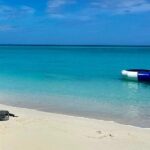 Paradise Found: Rose Island Ultimate Beach Day Escape - FAQ