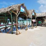 Paradise Island Cayo Arena & Mangroves from Puerto Plata (Full Day) - The Full Scoop on the Paradise Island & Mangroves Tour