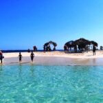 Paradise Island & Mangroves Tour - Authentic Insights from Travelers