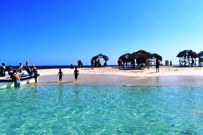 Paradise Island & Mangroves Tour - Authentic Insights from Travelers