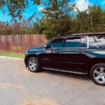 Paradise on Wheels: Suburban Premiere in Punta Cana - Round Trip - Who Is This Tour Best For?