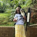 Paradise Unveiled Full Day Island Escape - Authentic Experiences and Authenticity