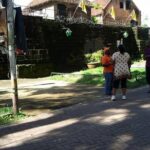 Paramaribo City Tour - Who Should Consider This Tour?