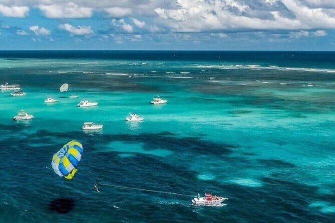 Parasailing in Punta Cana with Stunning Ocean Views - Authentic Insights from Reviews