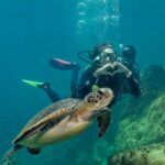 Paraty: Discovery Scuba Diving Experience for Beginners - Final Thoughts