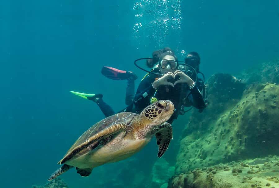Paraty: Discovery Scuba Diving Experience for Beginners - Final Thoughts