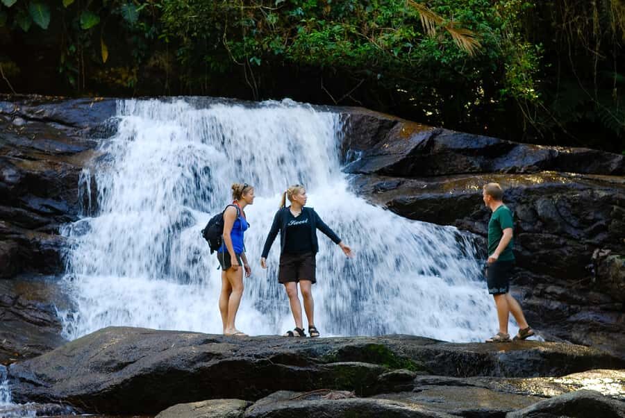 Paraty: Jungle Waterfalls and Cachaça Distillery Jeep Tour - Who Should Consider This Tour?