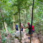 Paraty: Pão de Açucar Peak Trekking and Hiking Tour - Why This Tour Offers Great Value