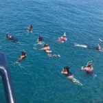 Party Boat Cruise & Open Bar with Snorkeling in Punta Cana - Authentic Experiences and Real Traveler Feedback