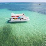 Party boat with open bar and snack including - Why This Tour Offers Good Value