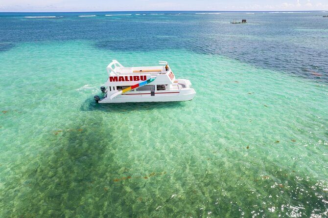 Party boat with open bar and snack including - Why This Tour Offers Good Value