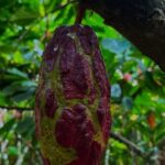 Paso del Mango Five Waterfalls - Why This Tour Is Great Value