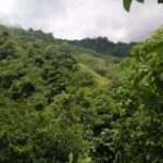 Passion Fruit and El Saltillo Waterfall Tour - Exploring the Sierra Nevada: A Day in Nature and Culture