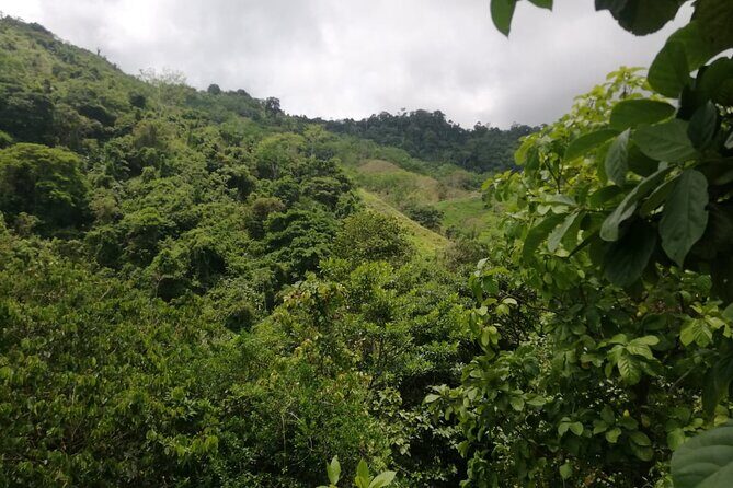 Passion Fruit and El Saltillo Waterfall Tour - Exploring the Sierra Nevada: A Day in Nature and Culture