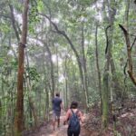 Pedra Bonita Trail: The easiest trail with a beautiful view of Rio - An In-Depth Look at the Pedra Bonita Trail