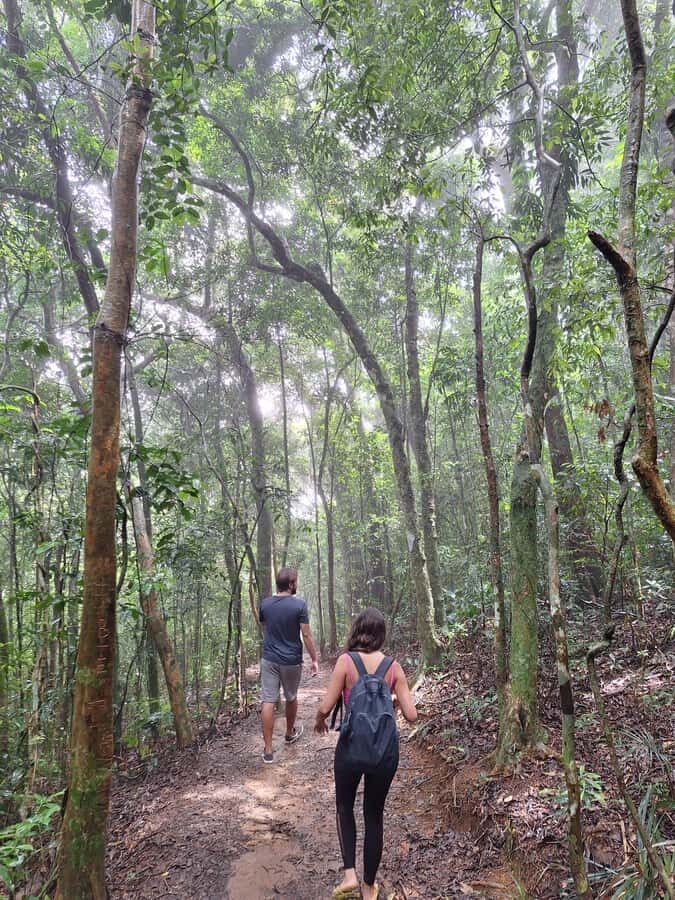 Pedra Bonita Trail: The easiest trail with a beautiful view of Rio - An In-Depth Look at the Pedra Bonita Trail