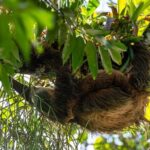 Peñas Blancas River Safari Float - A Deep Dive into the Peñas Blancas River Safari Float Experience