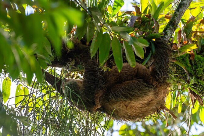 Peñas Blancas River Safari Float - A Deep Dive into the Peñas Blancas River Safari Float Experience