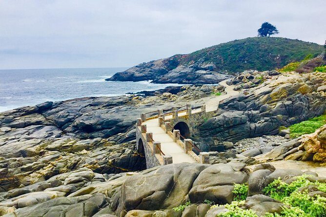 Penguins,Sea lions,Sand Boarding,Paragliding Chilean food &drinks - Sandboarding on Concon Dunes