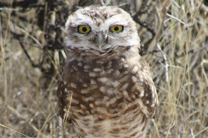 Peninsula Valdes & Estancia San Lorenzo Full Day Tour - Who Is This Tour Best For?