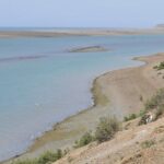 Peninsula Valdes Full Day Tour - FAQ