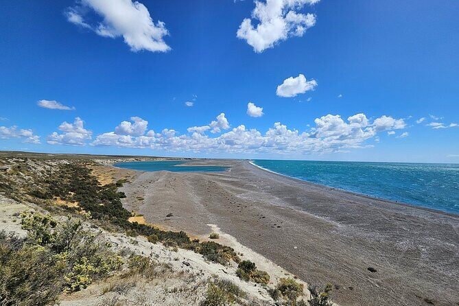 Península Valdés Tour for Cruise Passengers - Who Should Consider This Tour?