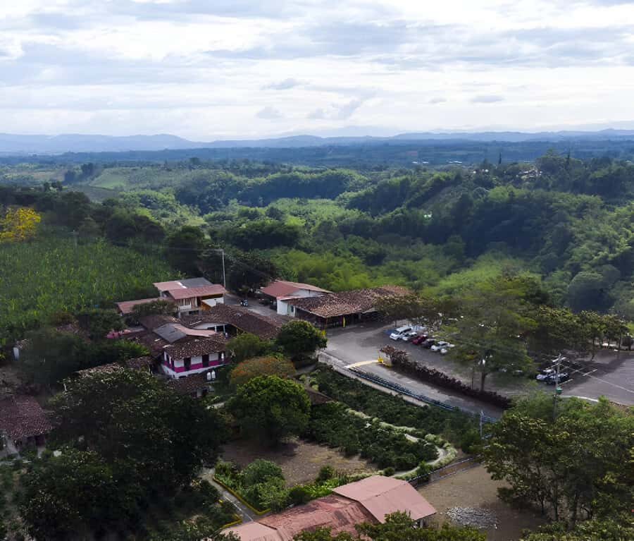 PEREIRA/ARMENIA: PRIVATE FULL DAY AT RECUCA PARK + INDIVIDUAL LUNCH - Why Choose This Tour? A Deep Dive into the Coffee World