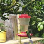 PEREIRA: BUTTERFLY FARM + ECOLOGICAL HIKE + BIOFLORA TRADITIONAL FARM - Who Will Love This Tour?