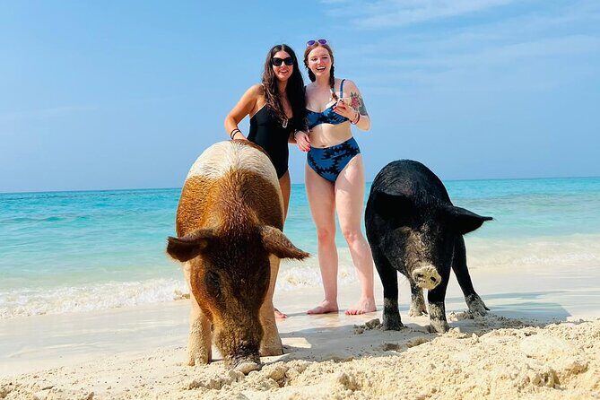 Perfect Day Swimming Pigs, Turtles, Reef Snorkel & Lunch - Who Is This Tour Best For?