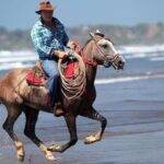 Personalized Beach Adventure Near Jaco - Final Thoughts