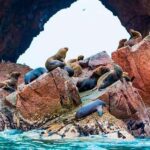 Peru and Bolivia 16 days 15 nights - What Travelers Say