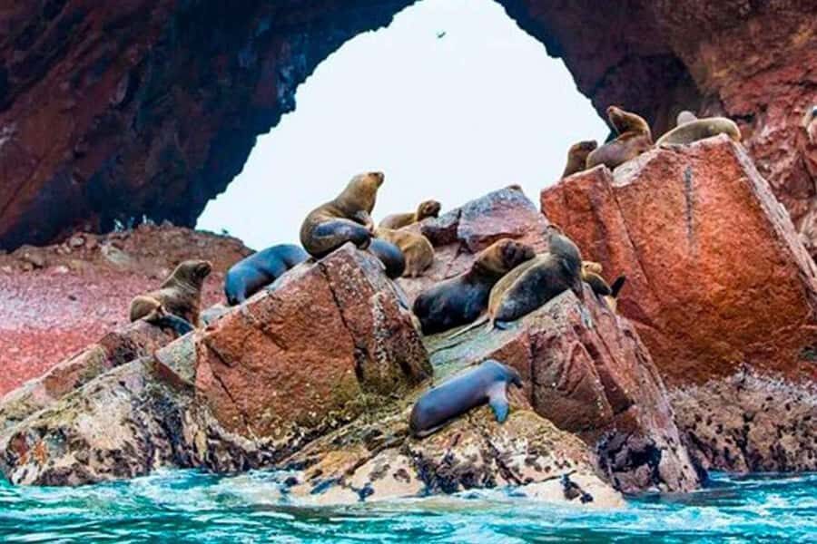 Peru and Bolivia 16 days 15 nights - What Travelers Say