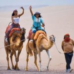 Peru: Camel Ride and Wine Tasting in the Desert - Practical Details and Value