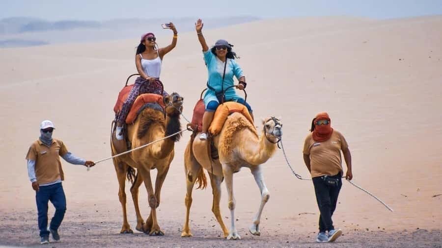 Peru: Camel Ride and Wine Tasting in the Desert - Practical Details and Value