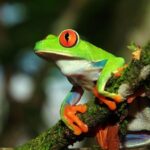 Photography Tour at Natura Eco Park - A Closer Look at the Experience