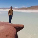 Piedras Rojas, Altiplanics Lagoons & Salar Full Day Tour - Detailed Breakdown of the Itinerary
