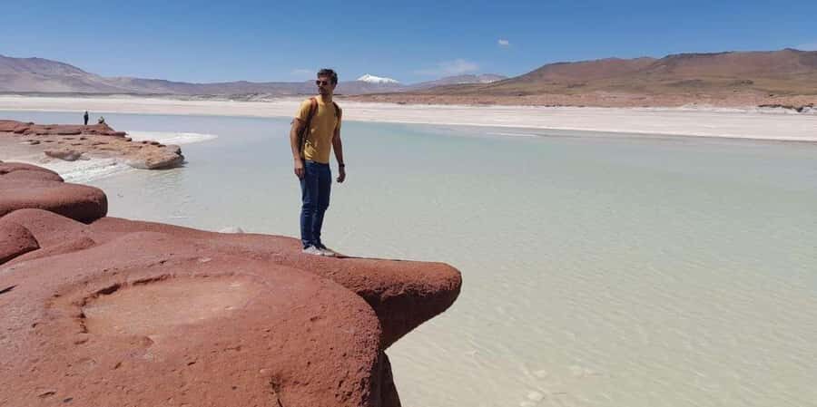 Piedras Rojas, Altiplanics Lagoons & Salar Full Day Tour - Detailed Breakdown of the Itinerary