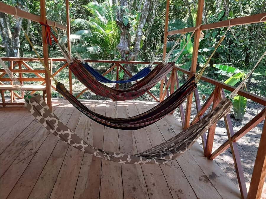 Pink dolphins,3 days 2 nights pacaya samiria - What’s Included and What’s Not: Making the Most of Your Budget