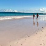 Pink Sand Beach and Swimming Pigs Adventure from Nassau - Authentic Experiences and What You’ll Take Away