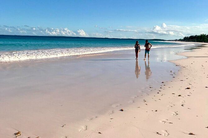 Pink Sand Beach and Swimming Pigs Adventure from Nassau - Authentic Experiences and What You’ll Take Away