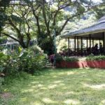 Pirates and Beach Tour with Detention Tours - Who Should Consider This Tour?