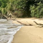 Pirate's Bay Day Trip with Lunch - A Deep Dive into the Pirates Bay Day Trip Experience