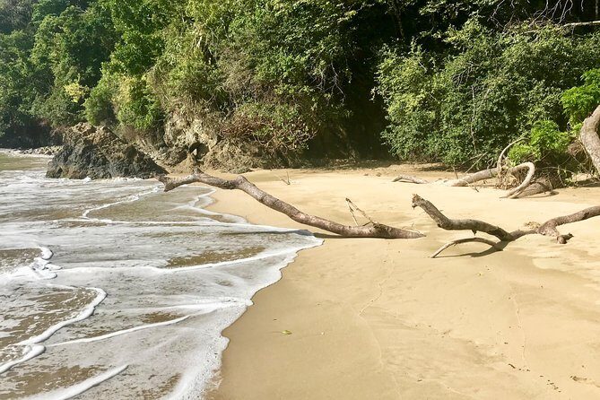 Pirate's Bay Day Trip with Lunch